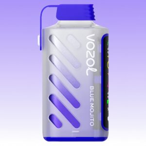 Vozol Gear Power 20000 Blue Mojito