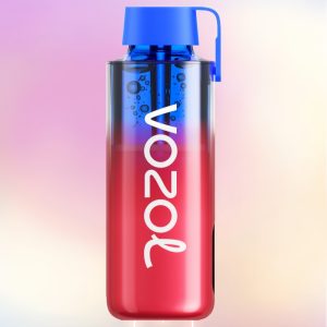 Vozol Neon 10000 Blueberry Ice Flavor