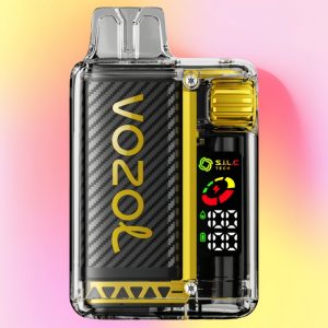 Vozol Vista 20000 Mango Ice Flavor