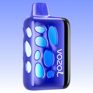 Vozol Rave 40000 Blueberry Ice Geschmack