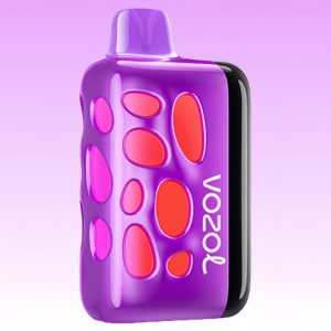 Vozol Rave 40k Grape Ice Vape