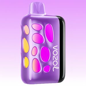Vozol Rave 40000 Watermelon Razz Rancher Geschmack