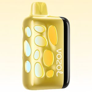 Vozol Rave 40000 Strawberry Mango Geschmack