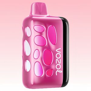 Vozol Rave 40000 Strawmelon Peach Geschmack
