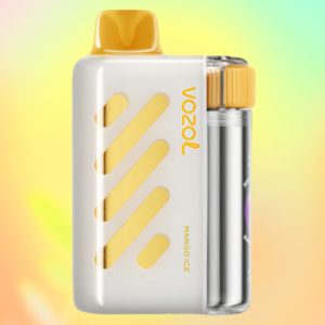Vozol Vista 40000 Mango Ice