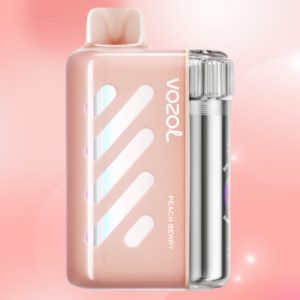 Vozol Vista 40000 Peach Berry