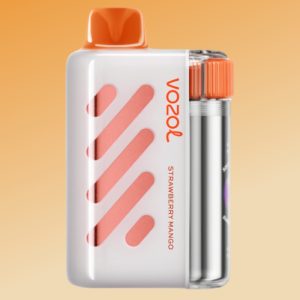 Vozol Vista 40k Strawberry Mango Geschmack
