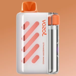 Vozol Vista 40k Passion Fruit Raspberry Tangerine