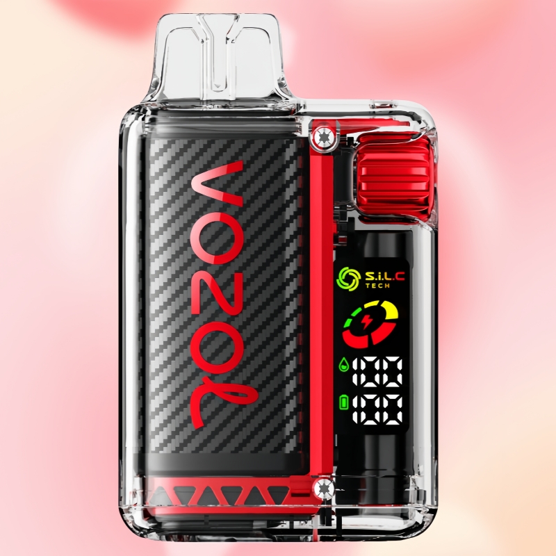 Vozol Vista 20000 Raspberry Watermelon (Copy)