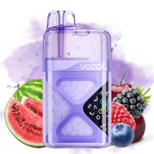 Vozol Neon 60000 Raspberry Watermelon